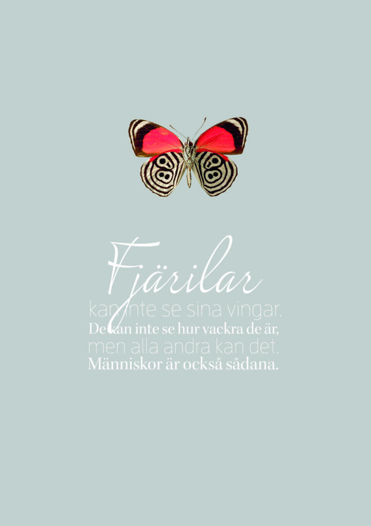 Fjärilar